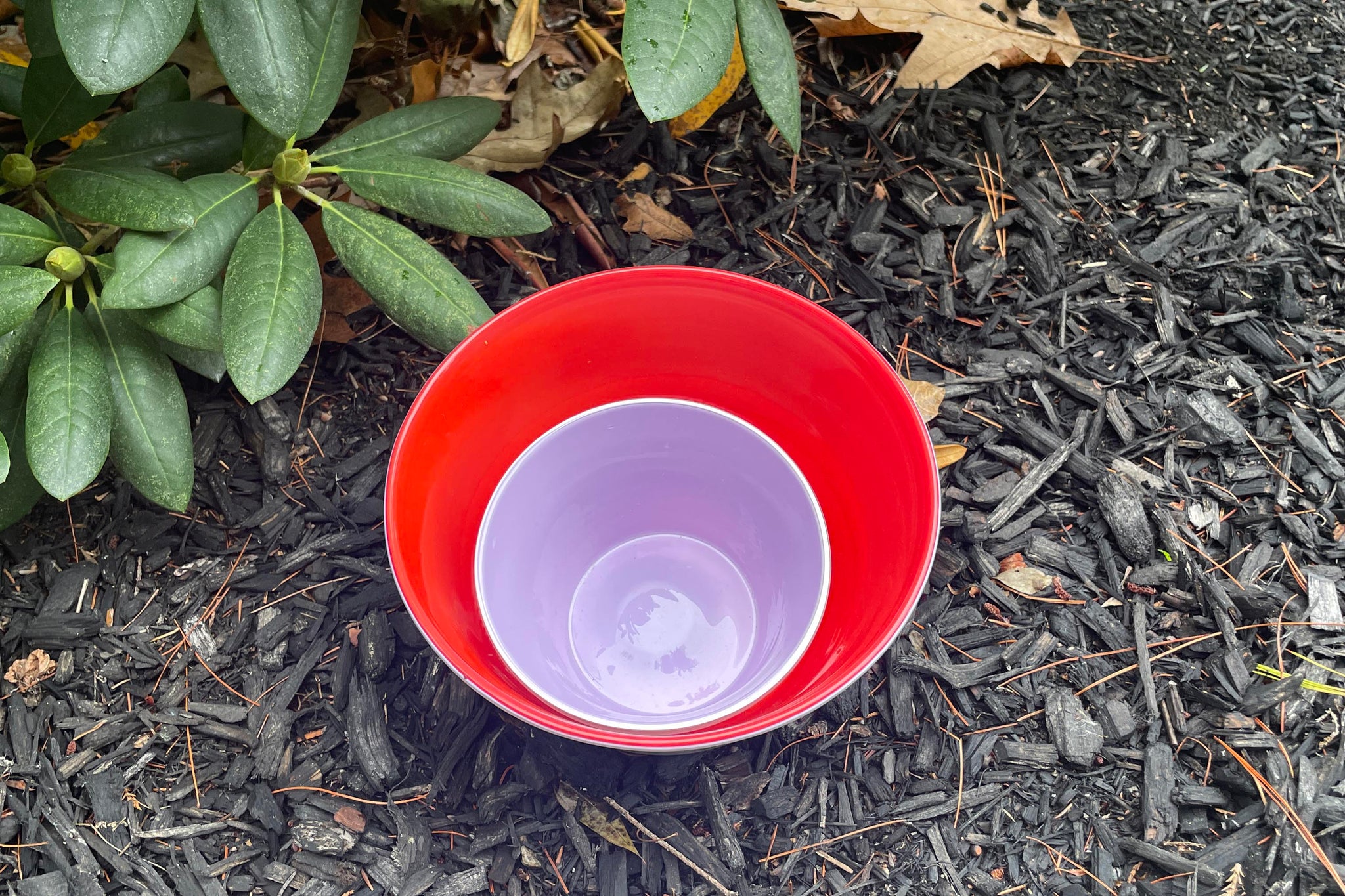Red & Lavender Set