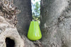 Trillium Vase | Lime