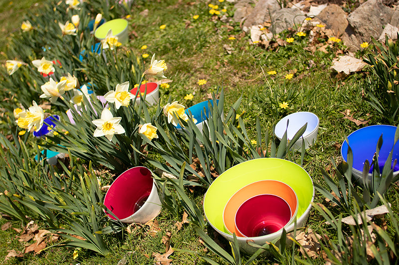 Making Everyday Earth Day